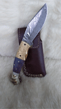 "BLUE NOVA" DAMASCUS CAMEL/RAM HORN POCKET KNIFE W/SHEATH