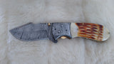 "CAMELBACK" DAMASCUS BURN CAMEL BONE POCKET KNIFE