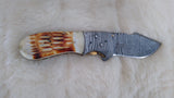 "CAMELBACK" DAMASCUS BURN CAMEL BONE POCKET KNIFE