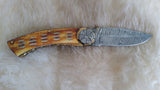 "WAGON WHEEL" DAMASCUS BURN CAMEL BONE POCKET KNIFE