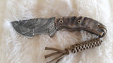 CUSTOM DAMASCUS "MINI RAM I" RAMS HORN TRACKER SKINNING HUNTING KNIFE W/SHEATH