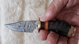 CUSTOM DAMASCUS "MINI RAM COMPACT II" HUNTING KNIFE